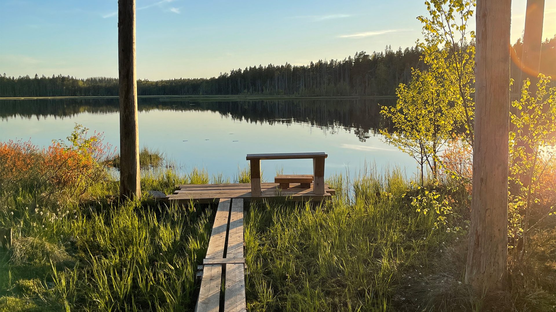 A bench overlooking a lake